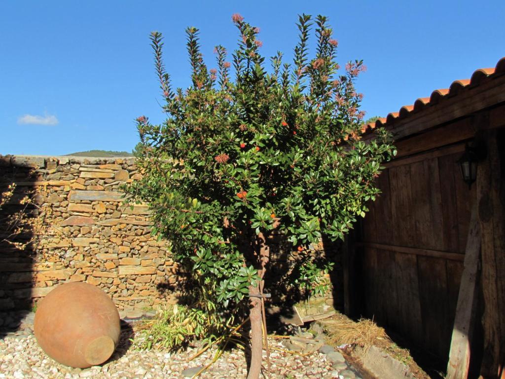 Apartamentos Rurales Azabal Oda fotoğraf